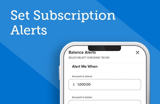 Set Subscription Alerts