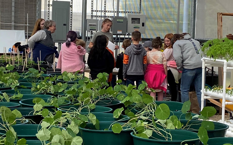 Students learning about plants inside a greenhouse 
