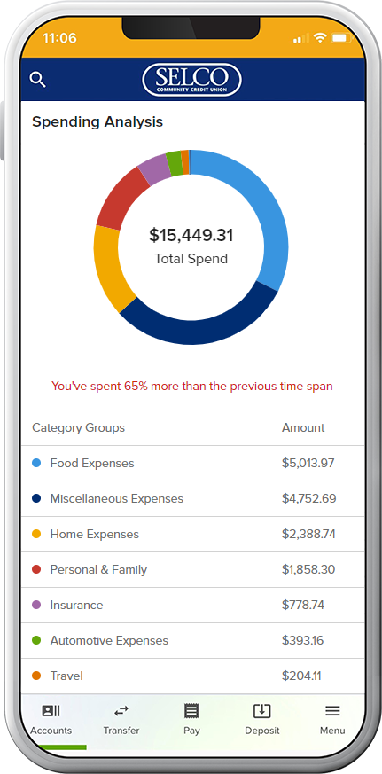 Credit union spending analysis app graphic