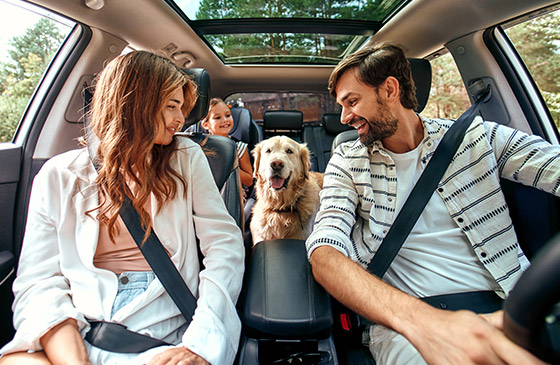 Family driving together in car with dog