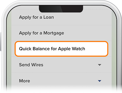 Enable quick balance apple watch step 1