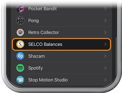 Enable quick balance apple watch step 4