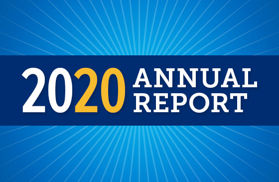 2020 annual report graphic
