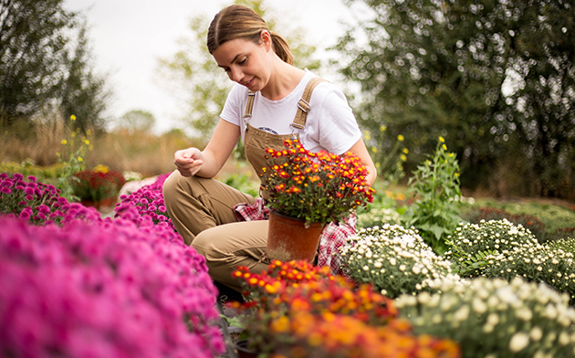 Woman planting flowers