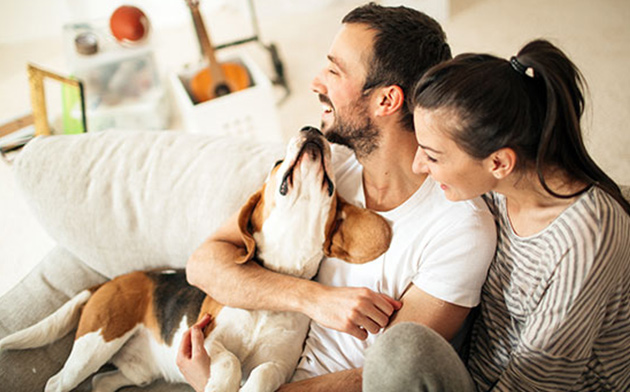 Couple laughing with dog