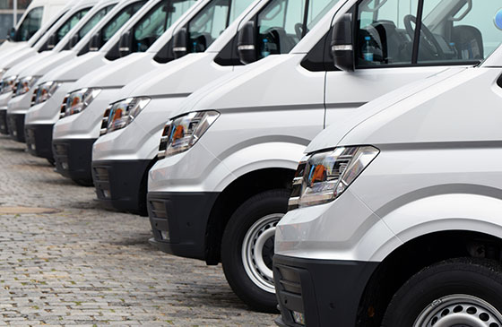 Business fleet van vehicles in white