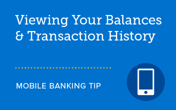 Viewing Your Balances & Transactions graphic