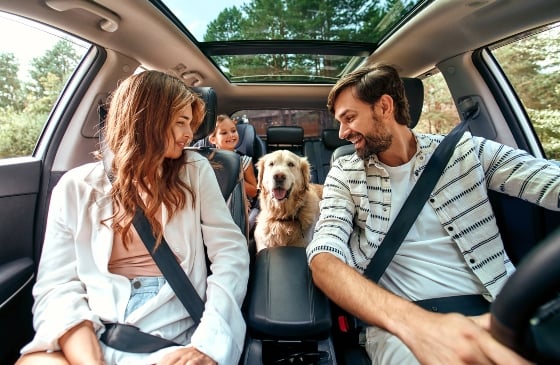 Mother and father toddler and dog in their car.