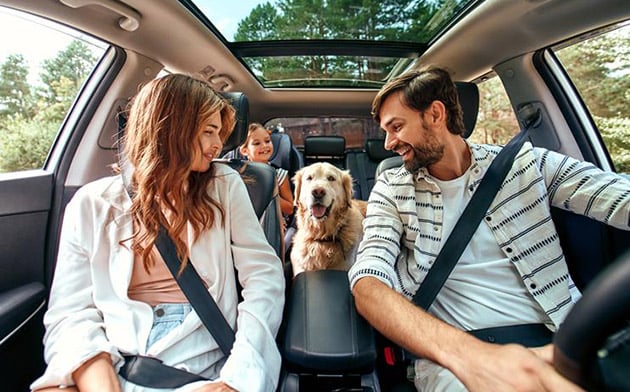 A family and a dog sitting in a car. 