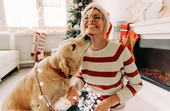 Person and dog dressed up for Christmas